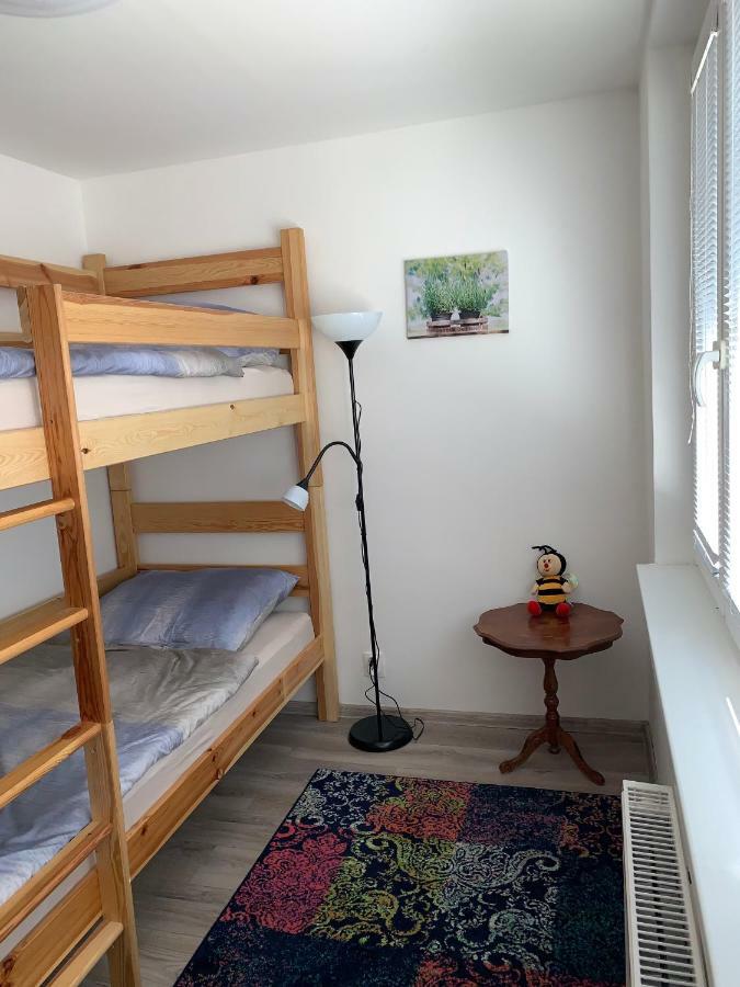 Tt10 Botanicka Apartment